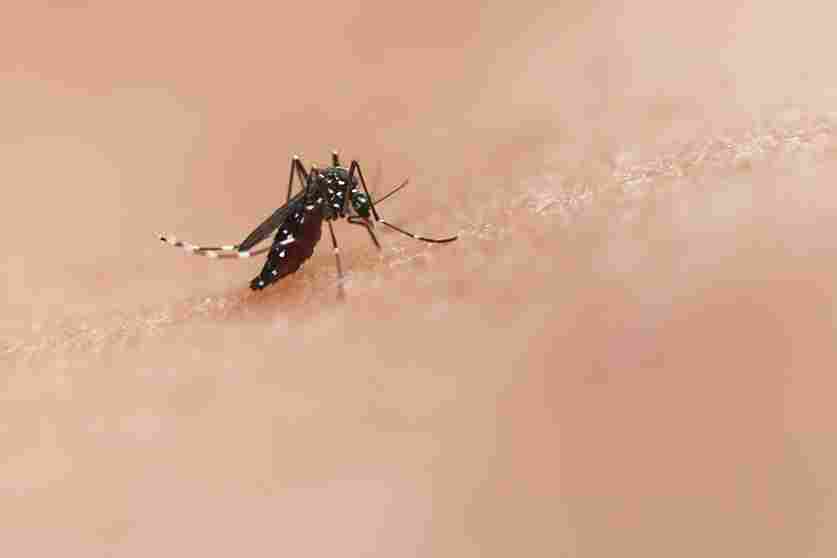 national-institute-of-allergy-and-infectious-diseases-Z2pq_4mj6BI-unsplash_11zon